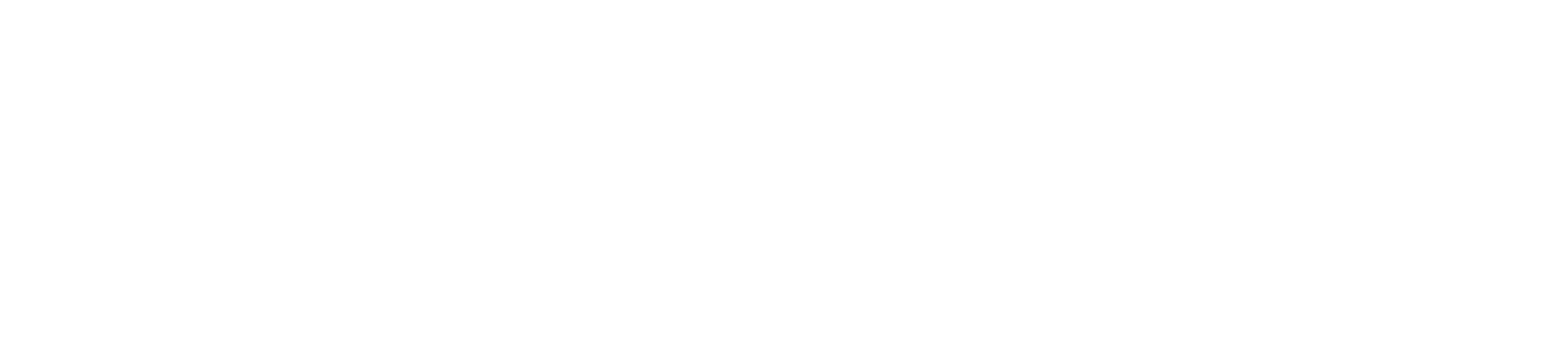 She Is Safe, Inc. logo